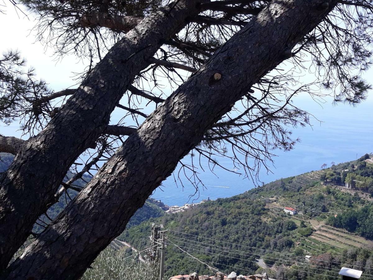 Chez Il Pino Vernazza Vista Mare المظهر الخارجي الصورة