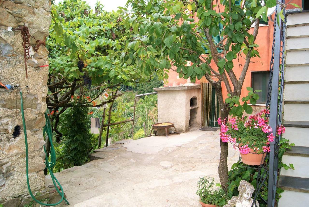 Chez Il Pino Vernazza Vista Mare المظهر الخارجي الصورة